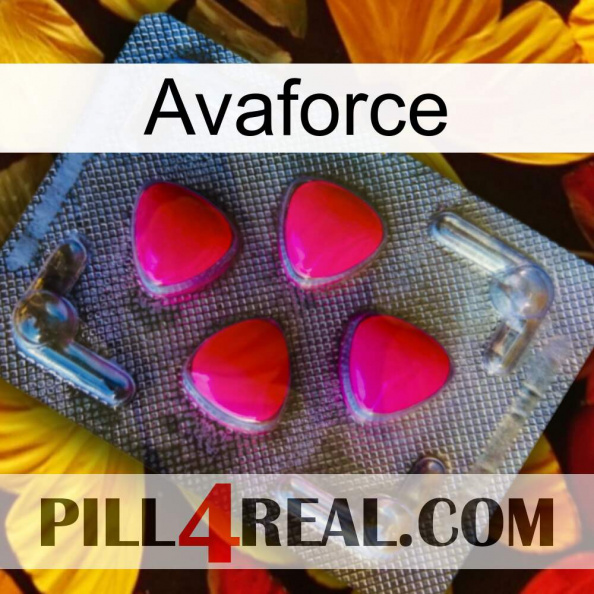 Avaforce 13